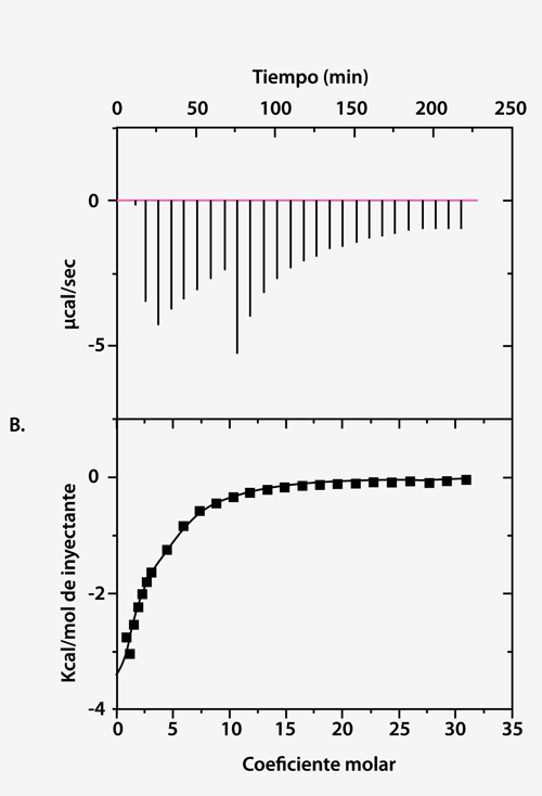 estabilización de proteínas en formulaciones biofarmacéuticas