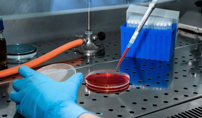 Protocolo de medición de pH en medio de cultivo líquido con medidor y electrodo HORIBA