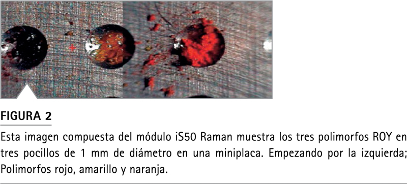 Módulo Nicolet iS50 Raman platina X Y Z automatizada