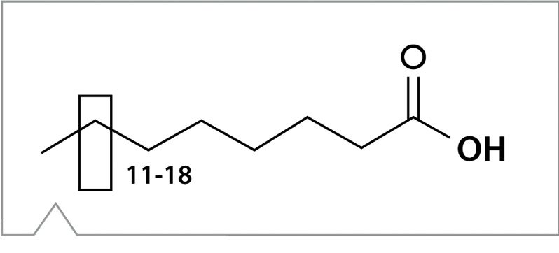 Estructura química ácidos grasos Raman análisis