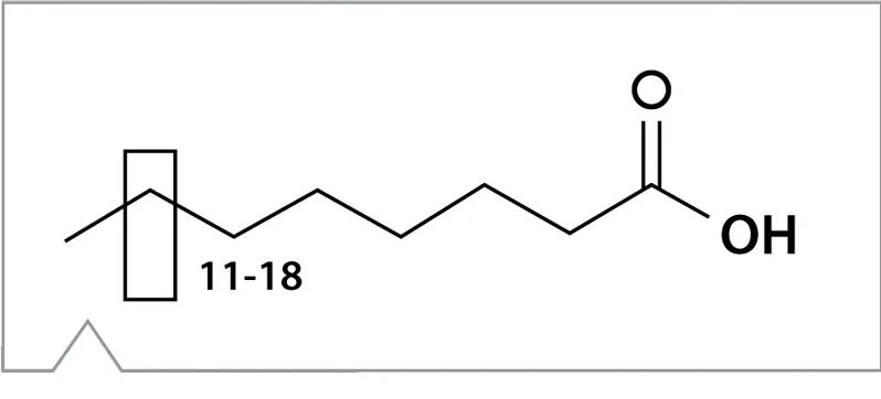 Estructura química ácidos grasos Raman análisis