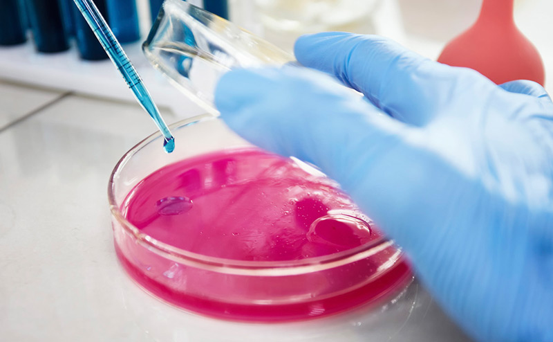 Medición de pH en placa de agar con electrodo plano HORIBA en medio de cultivo sólido