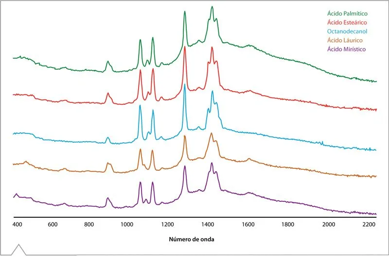 Espectro Raman ácidos grasos alcohol cadena similar