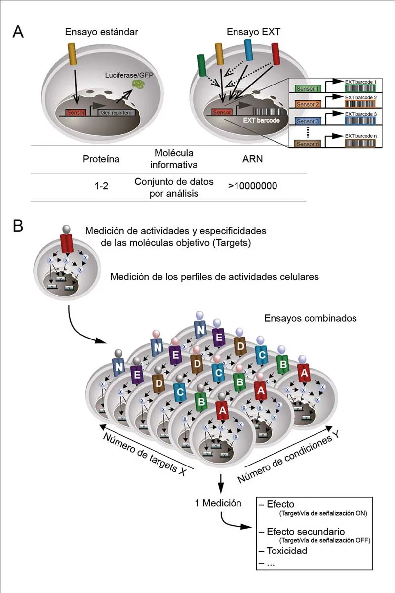 Figura 1 - esquema de ensayos EXT multiparamétricos con reporteros de códigos de barras moleculares y análisis por NGS