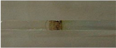 Tira IPG 24 cm dañada por sobrevoltaje con 25 mM de sodio — decoloración y quemado visible, corrientes erráticas en Hoefer IEF100