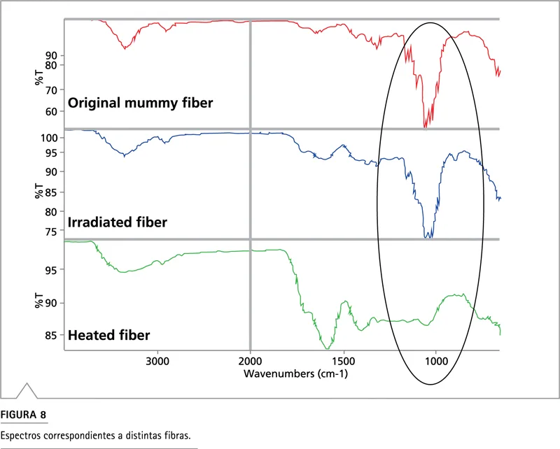 Análisis FT-IR Nicolet iN10: comparación de espectros de fibra momificada vs UV/temperatura en rango 1000-1300 cm−1