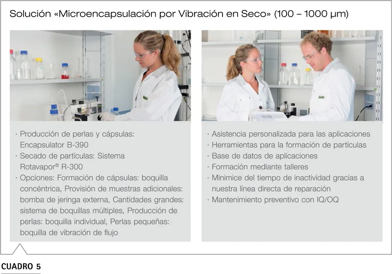 Mini Spray Dryer BUCHI control proceso montaje vidrio transferencia escala