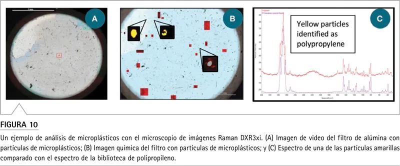 Análisis de microplásticos en filtro mediante microscopía Raman con Thermo Scientific DXR3
