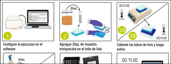 Figura 1 - proceso 3M Molecular Detection Assay paso a paso