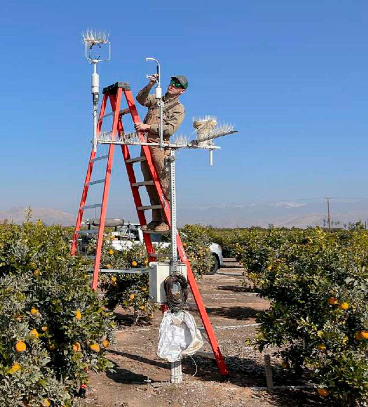Workshop Eddy Covariance