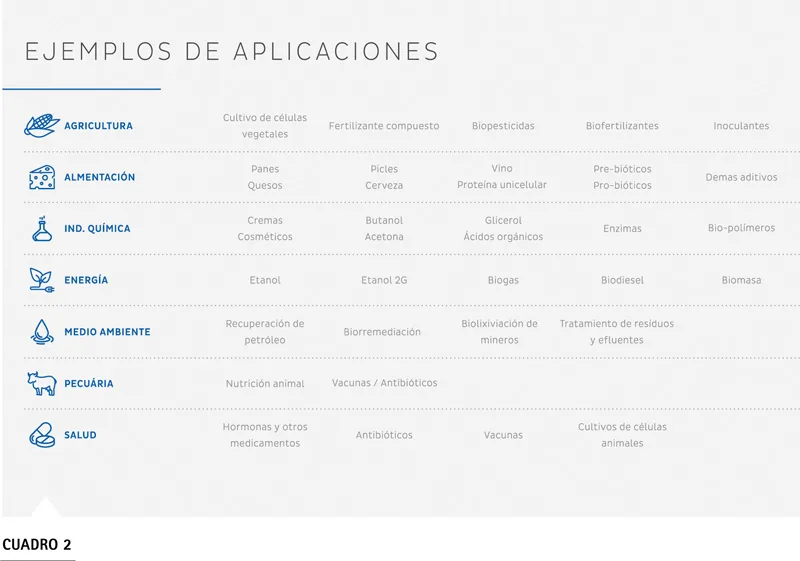 Aplicaciones biorreactores TECNAL fermentación bioprocesos
