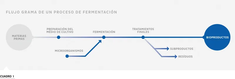 Diagrama flujo proceso fermentación TECNAL biorreactor
