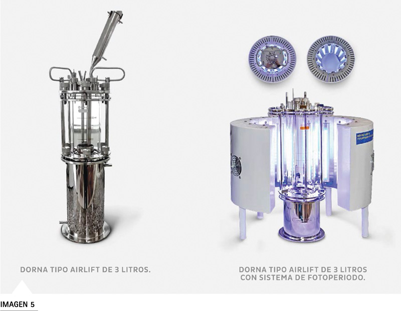 Biorreactor neumático AIR-LIFT TECNAL micro-algas cianobacterias