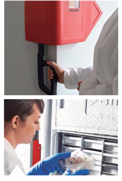 Ultracongelador UF V 700 BINDER mayor capacidad