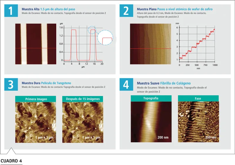 Park NX10 especificaciones escáner XY Z resolución nanométrica nanotecnología