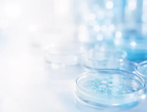 Imagen destacada: Control microbiológico ambiental y prevención de contaminaciones en áreas limpias