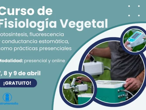 Curso presencial y online de Fisiología Vegetal