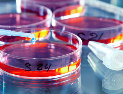 Curso de microbiología farmacéutica