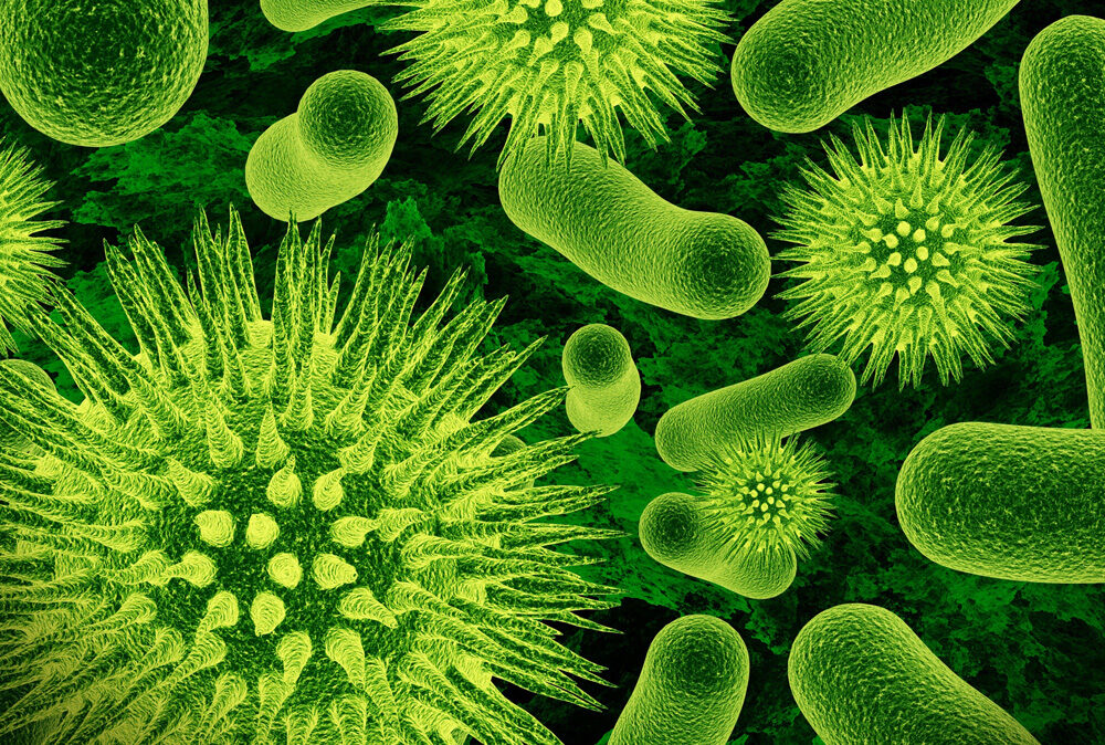 Microorganismos indicadores en alimentos