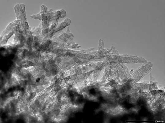 foto1 — Nanotecnología aplicada al agro: buscan hacer más eficiente el uso de fertilizantes