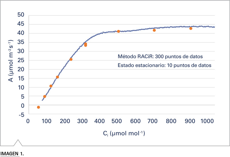 LI-6800 Licor curva respuesta A-Ci RACiR girasol