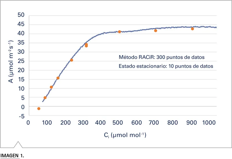 LI-6800 Licor curva respuesta A-Ci RACiR girasol