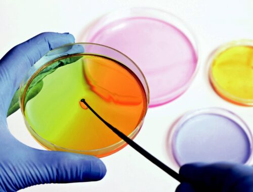 Microbiología en laboratorio