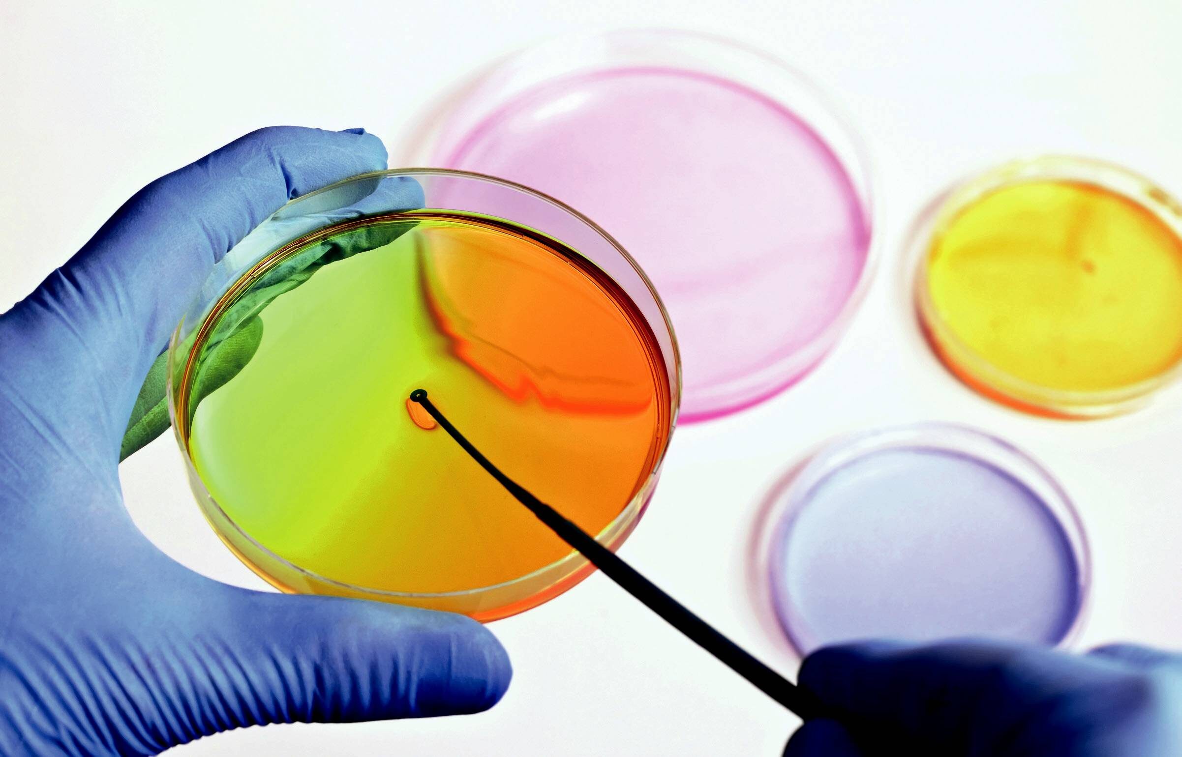 Microbiología en laboratorio