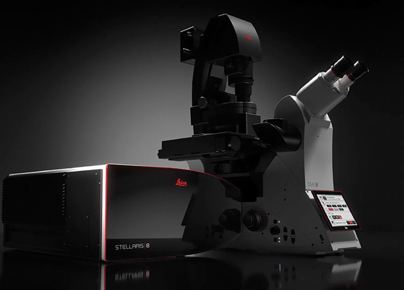 Detectores Power HyD Leica microscopía confocal eficiencia detección fotones