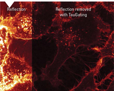 TauSeparation STELLARIS multiplexado sondas fluorescentes tiempos vida diferentes