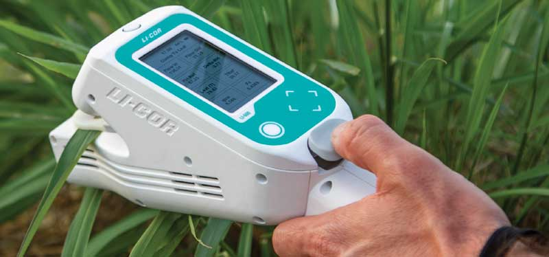 Medición simultánea de conductancia estomática y fluorescencia de clorofila a con el LI-600 LI-COR