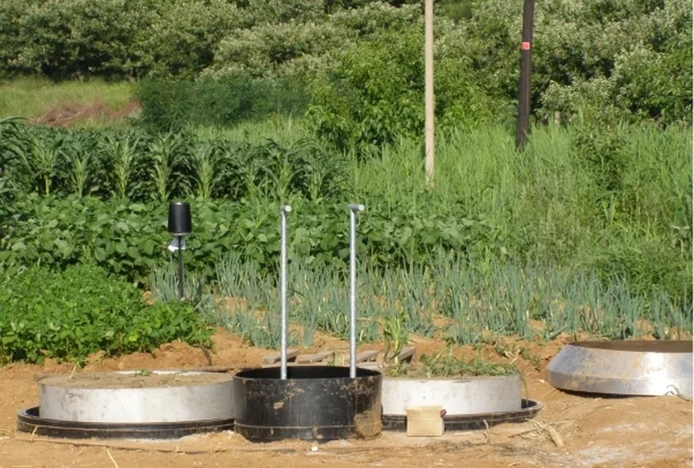 Imagen destacada: Lisímetros de campo y laboratorio