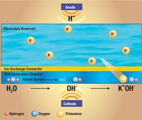 Cartucho generador de eluyente Dionex EGC III KOH con cámara electrolítica y depósito K+