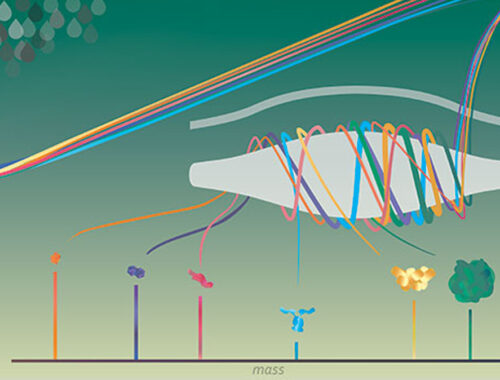 Orbitrap Exploris 240