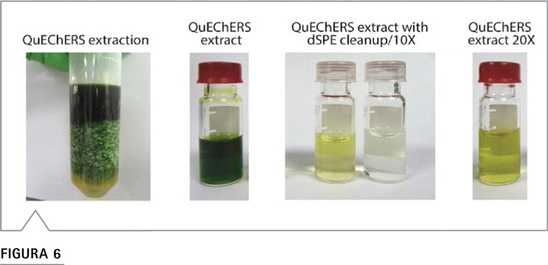 Figura preparación muestras col rizada análisis capas tubo extracción