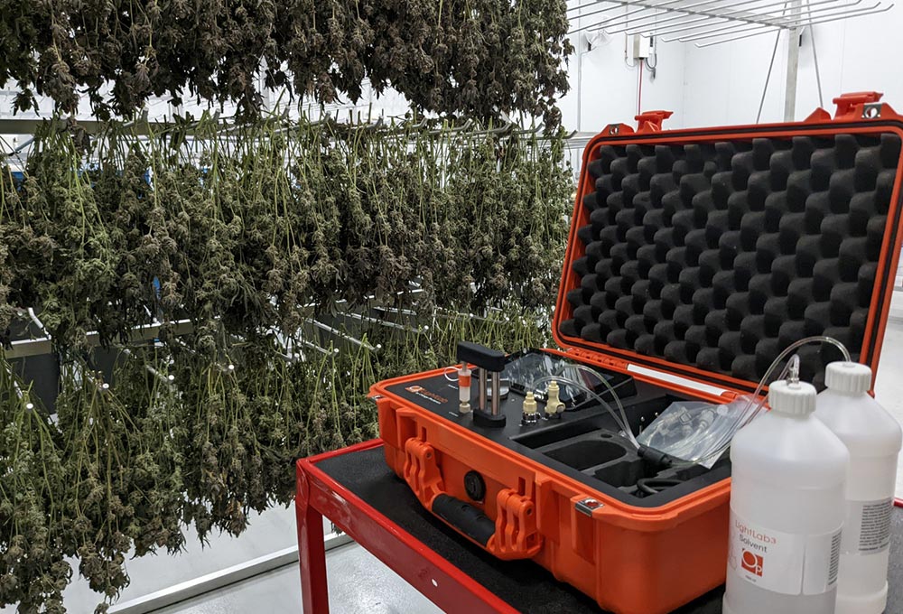 LightLab 3 cannabis